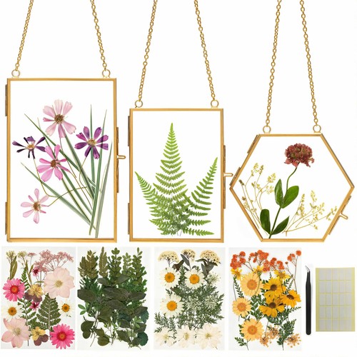 Pressed flower craft kit for - pressed,