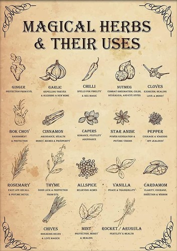 Magical herbs and their uses - herbs,